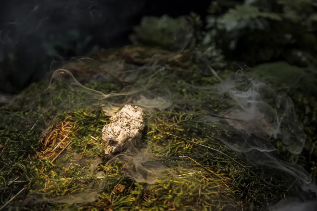 Atmospheric product photo with smoke drifting through a natural forest-floor scene