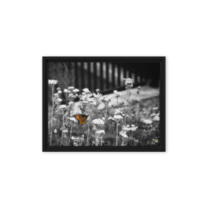 framed canvas in black 9x12 front 6a95be3a4909d.jpg