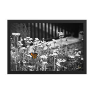 premium luster photo paper framed poster in black 12x18 front 6a95bd66ae80b.jpg