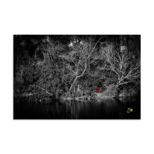 Riverside Color Pop