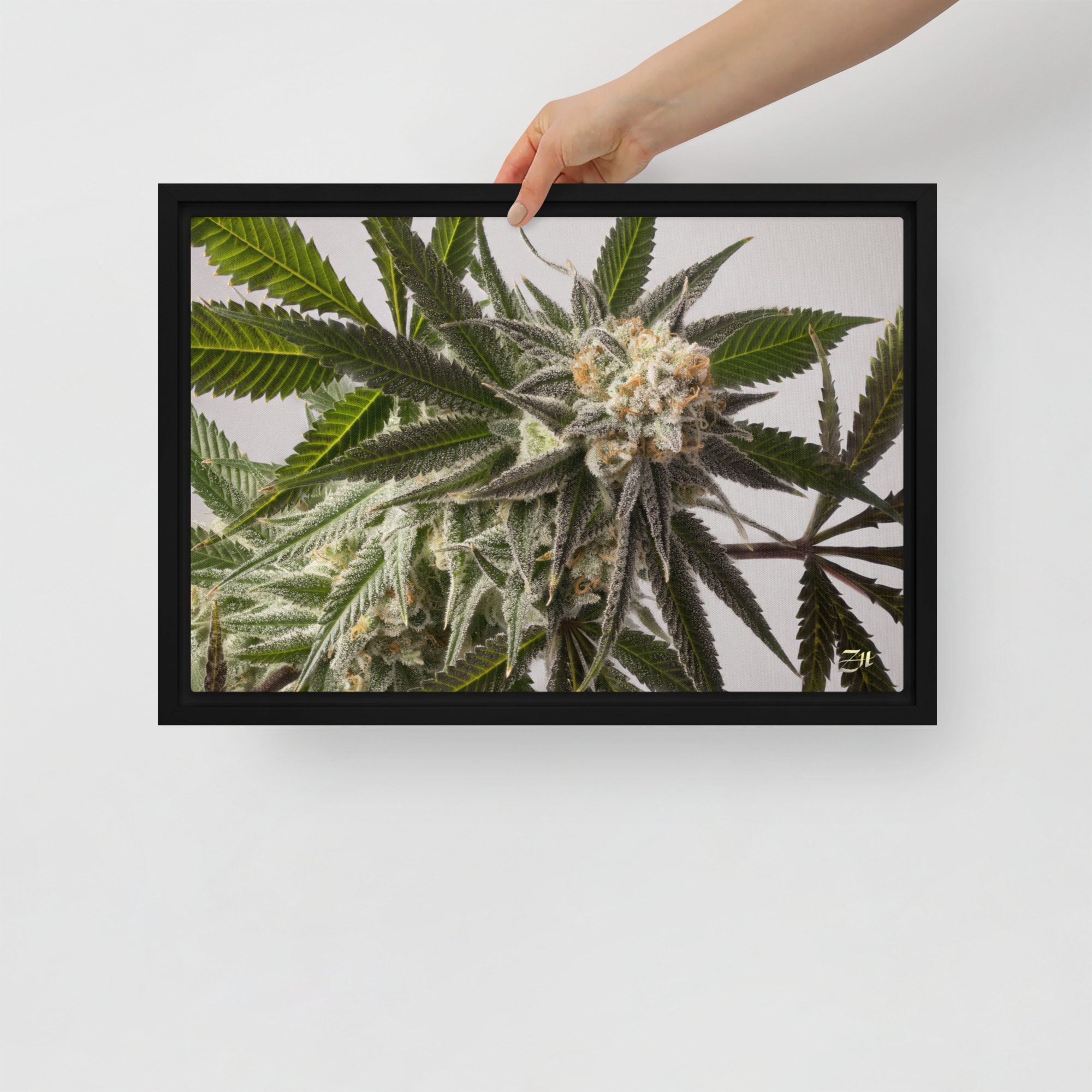 framed canvas in black 12x18 front 6a9761a740484.jpg framed canvas in black 12x18 front 6a9761a740484.jpg