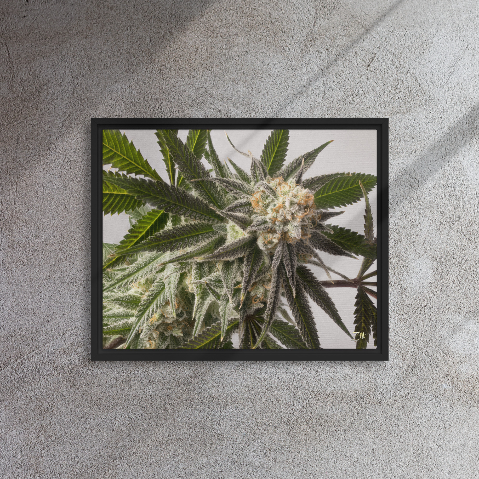 framed canvas in black 16x20 front 6a9761a73e151.jpg framed canvas in black 16x20 front 6a9761a73e151.jpg