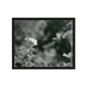 framed canvas in black 16x20 front 6a97679750b56.jpg
