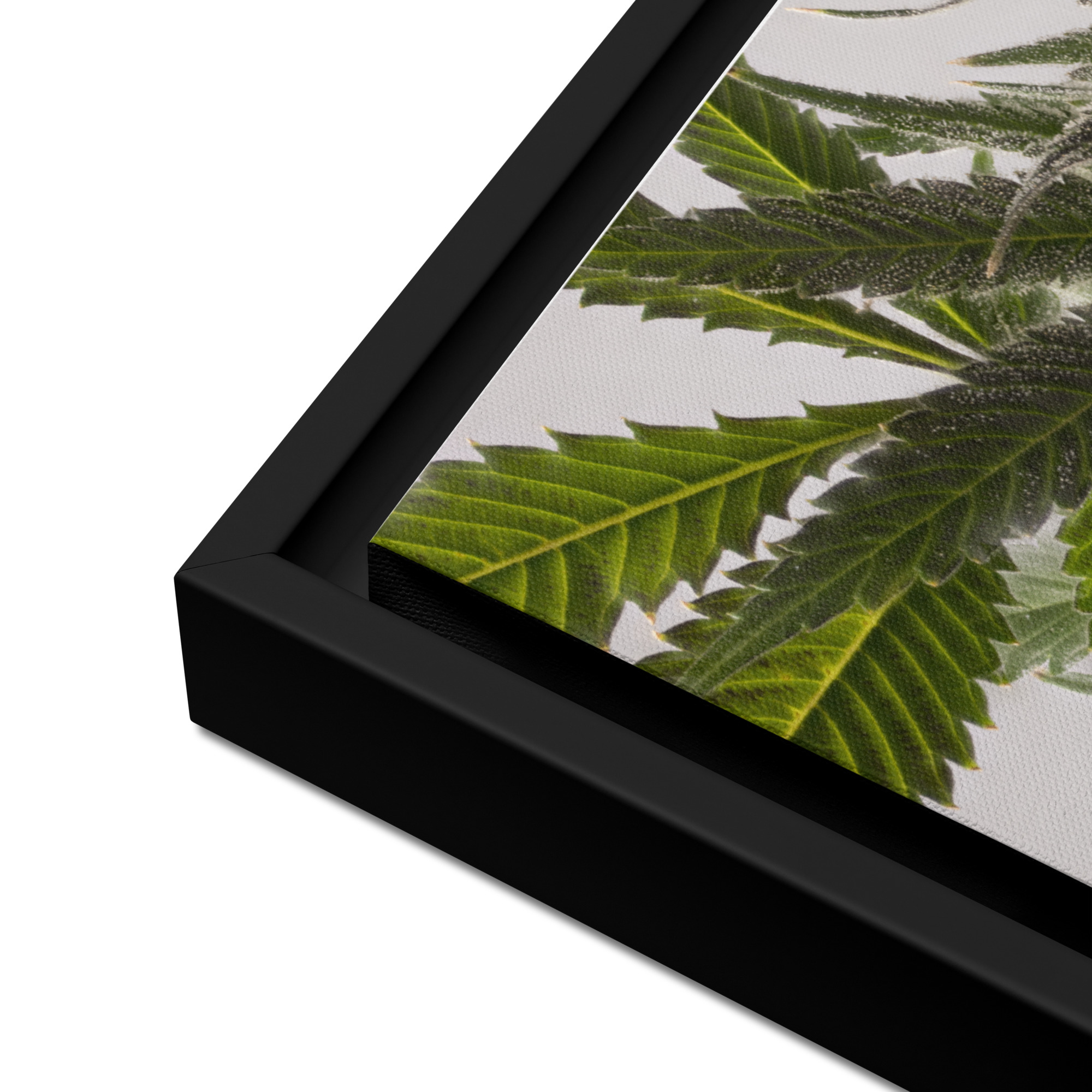 framed canvas in black 16x20 product details 6a9761a73f954.jpg framed canvas in black 16x20 product details 6a9761a73f954.jpg