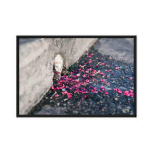 framed canvas in black 20x30 front 6a975ed92c204.jpg