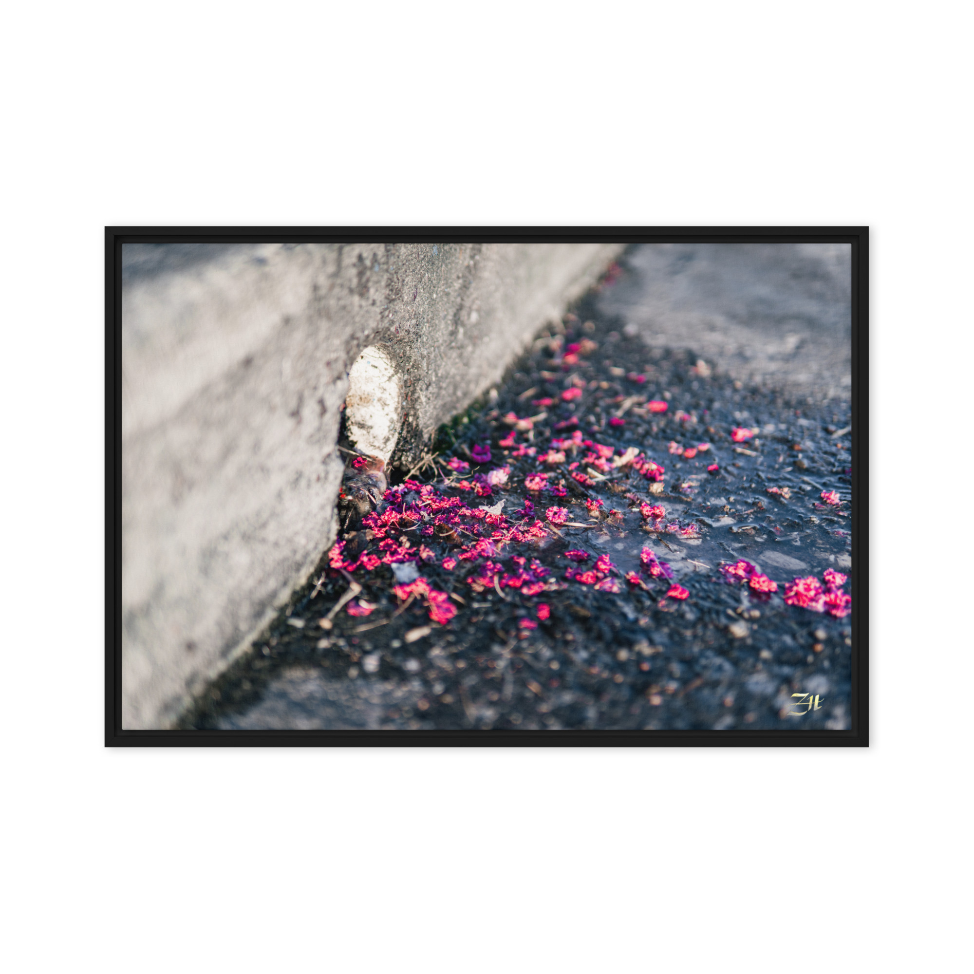 framed canvas in black 20x30 front 6a975ed92c204.jpg framed canvas in black 20x30 front 6a975ed92c204.jpg