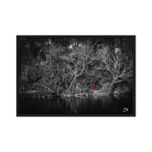 framed canvas in black 20x30 front 6a97608c0c90d.jpg
