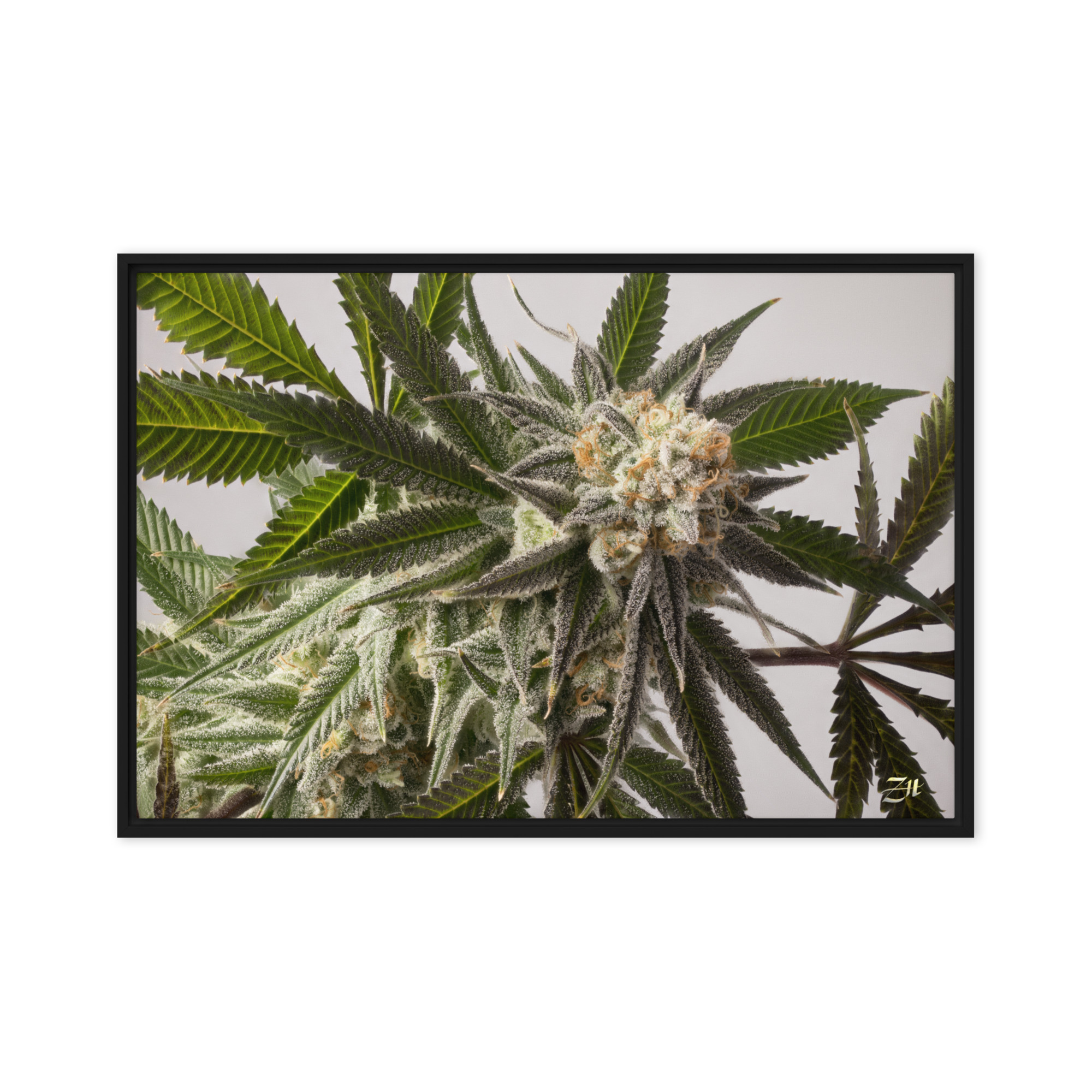 framed canvas in black 20x30 front 6a9761a740ed5.jpg framed canvas in black 20x30 front 6a9761a740ed5.jpg