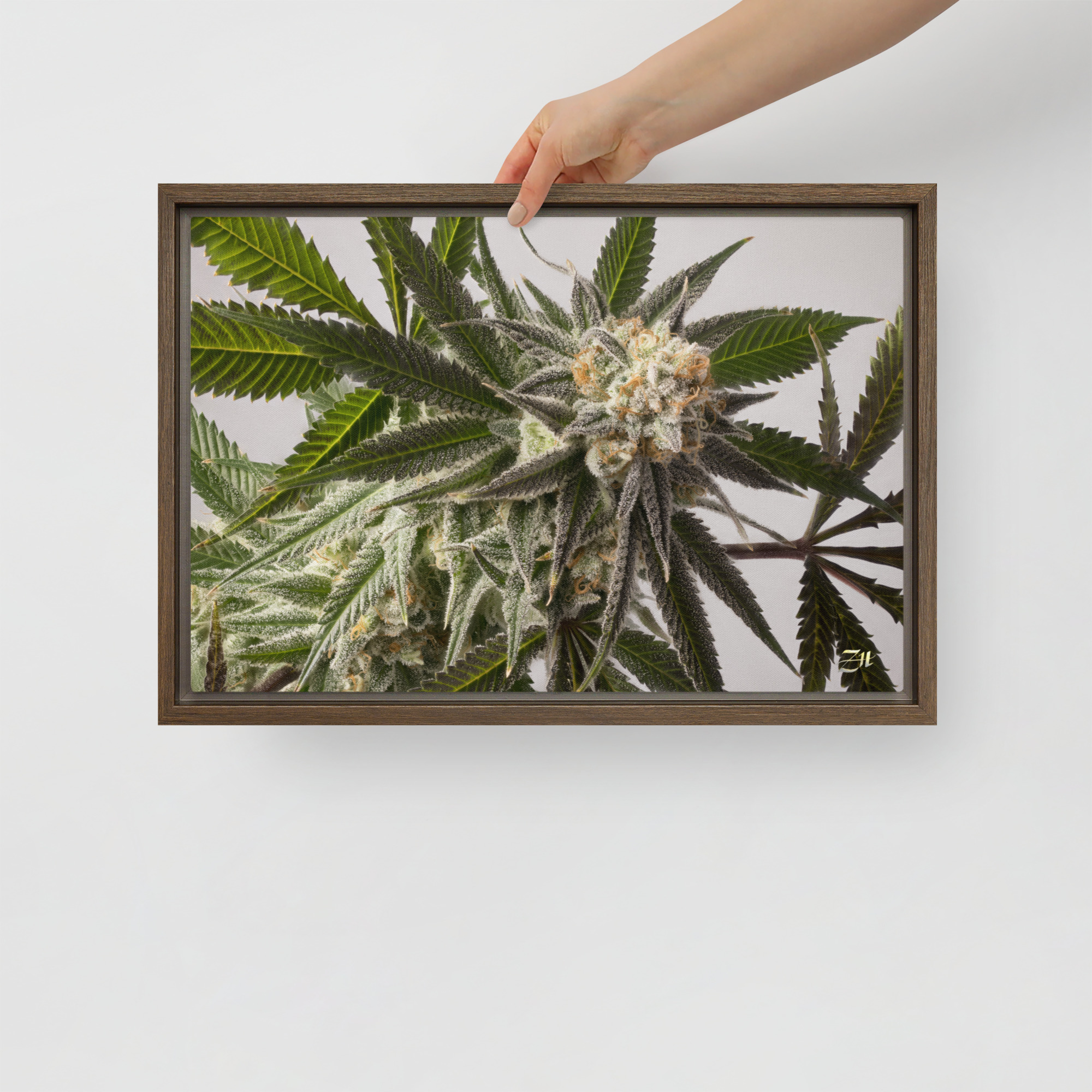 framed canvas in brown 12x18 front 6a9761a7404f8.jpg framed canvas in brown 12x18 front 6a9761a7404f8.jpg
