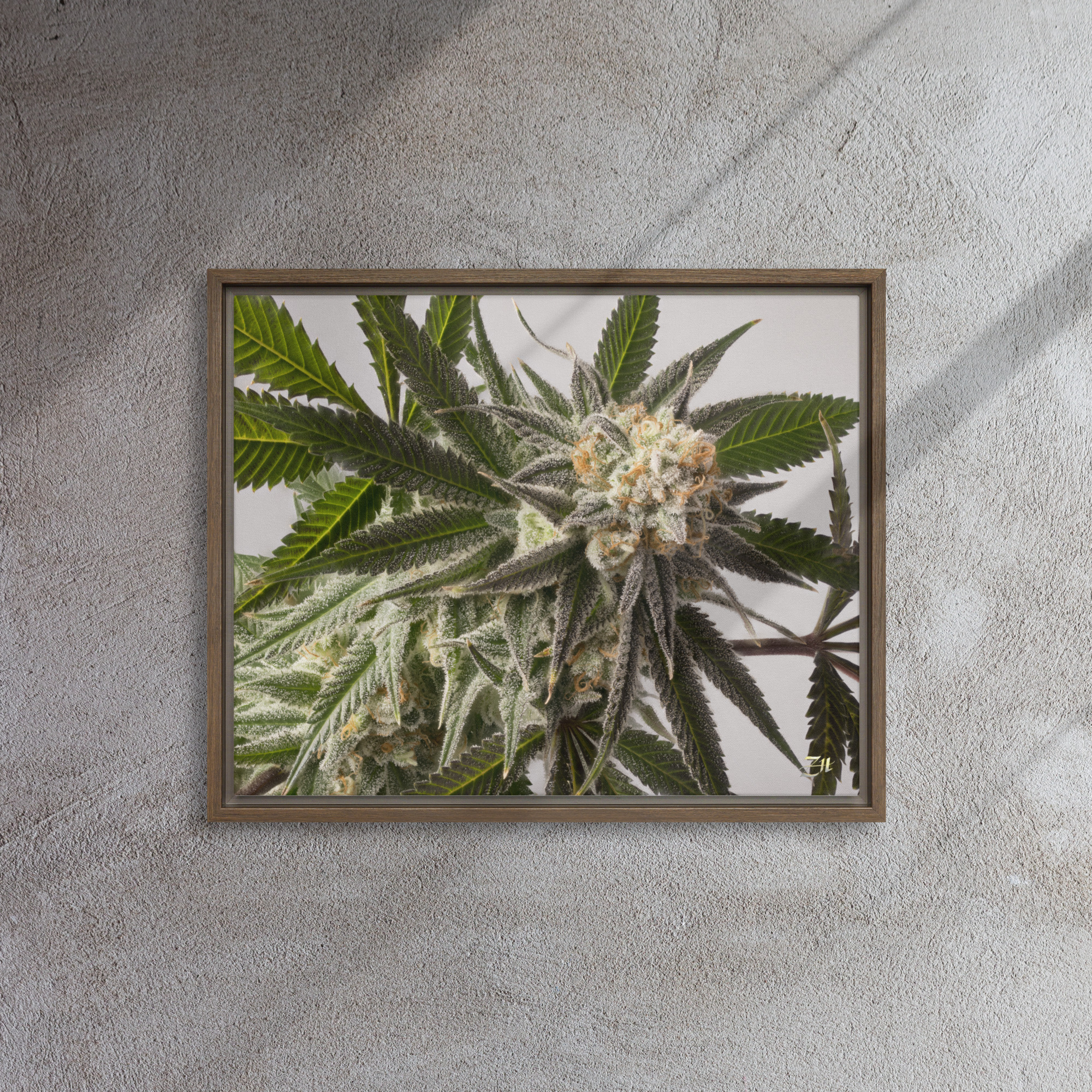 framed canvas in brown 16x20 front 6a9761a73ef24.jpg framed canvas in brown 16x20 front 6a9761a73ef24.jpg
