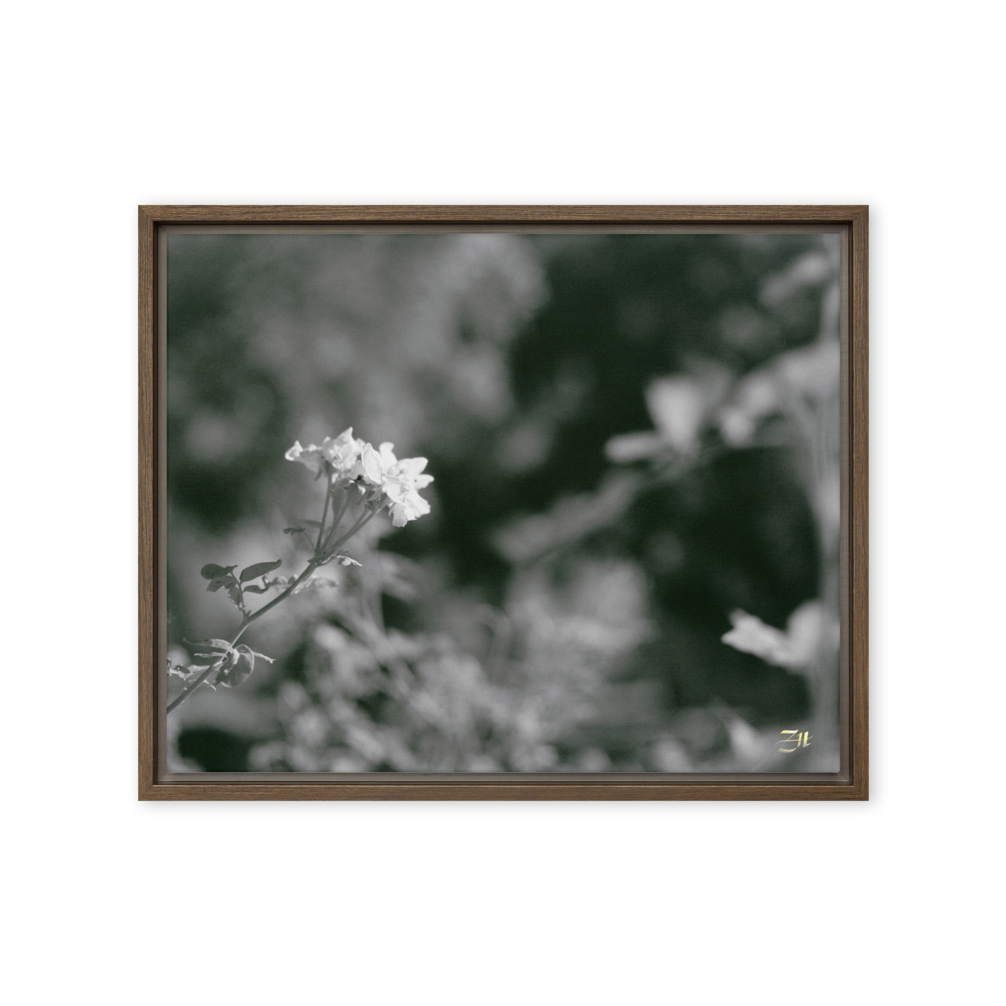 framed canvas in brown 16x20 front 6a976797515b0.jpg framed canvas in brown 16x20 front 6a976797515b0.jpg