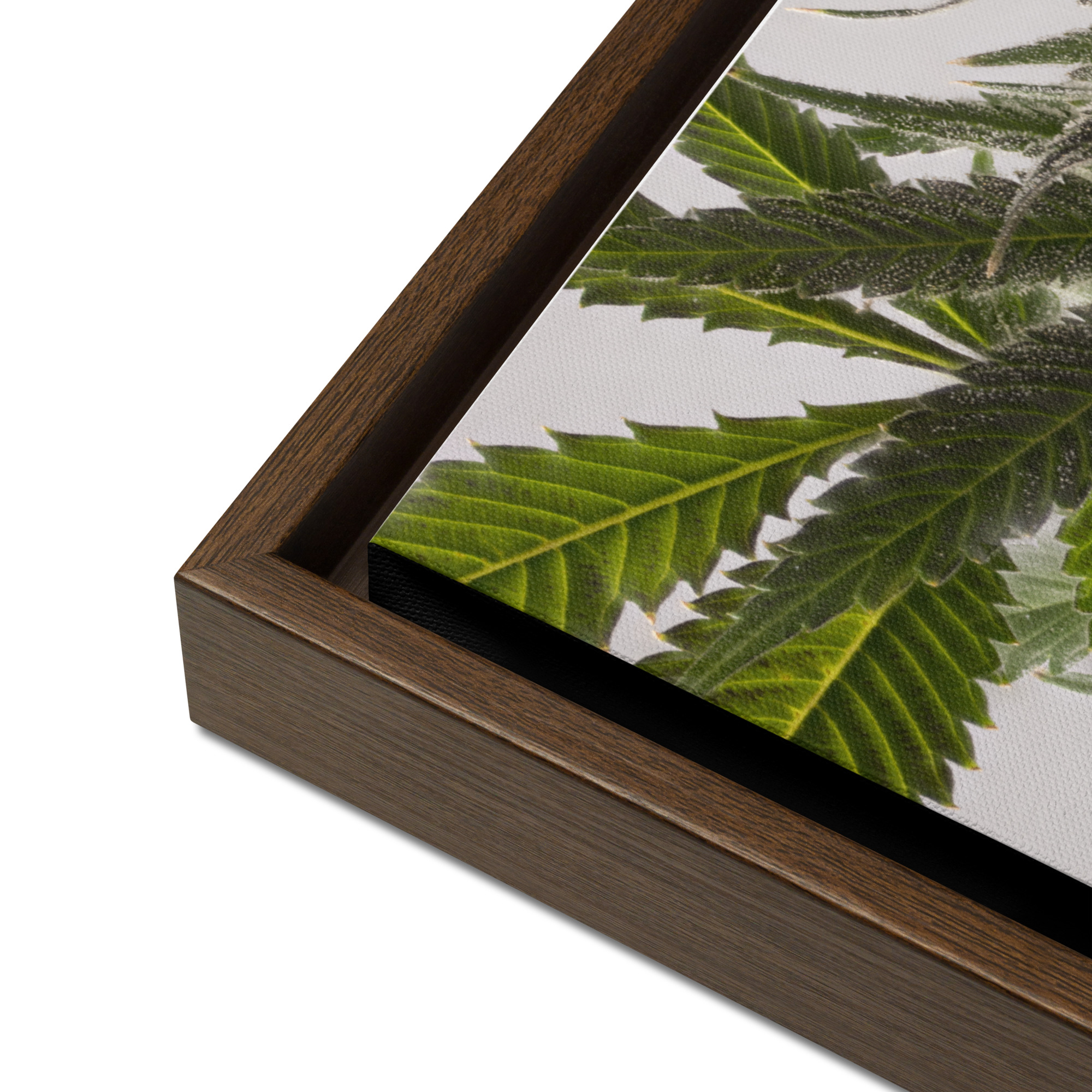 framed canvas in brown 16x20 product details 6a9761a73f9f7.jpg framed canvas in brown 16x20 product details 6a9761a73f9f7.jpg