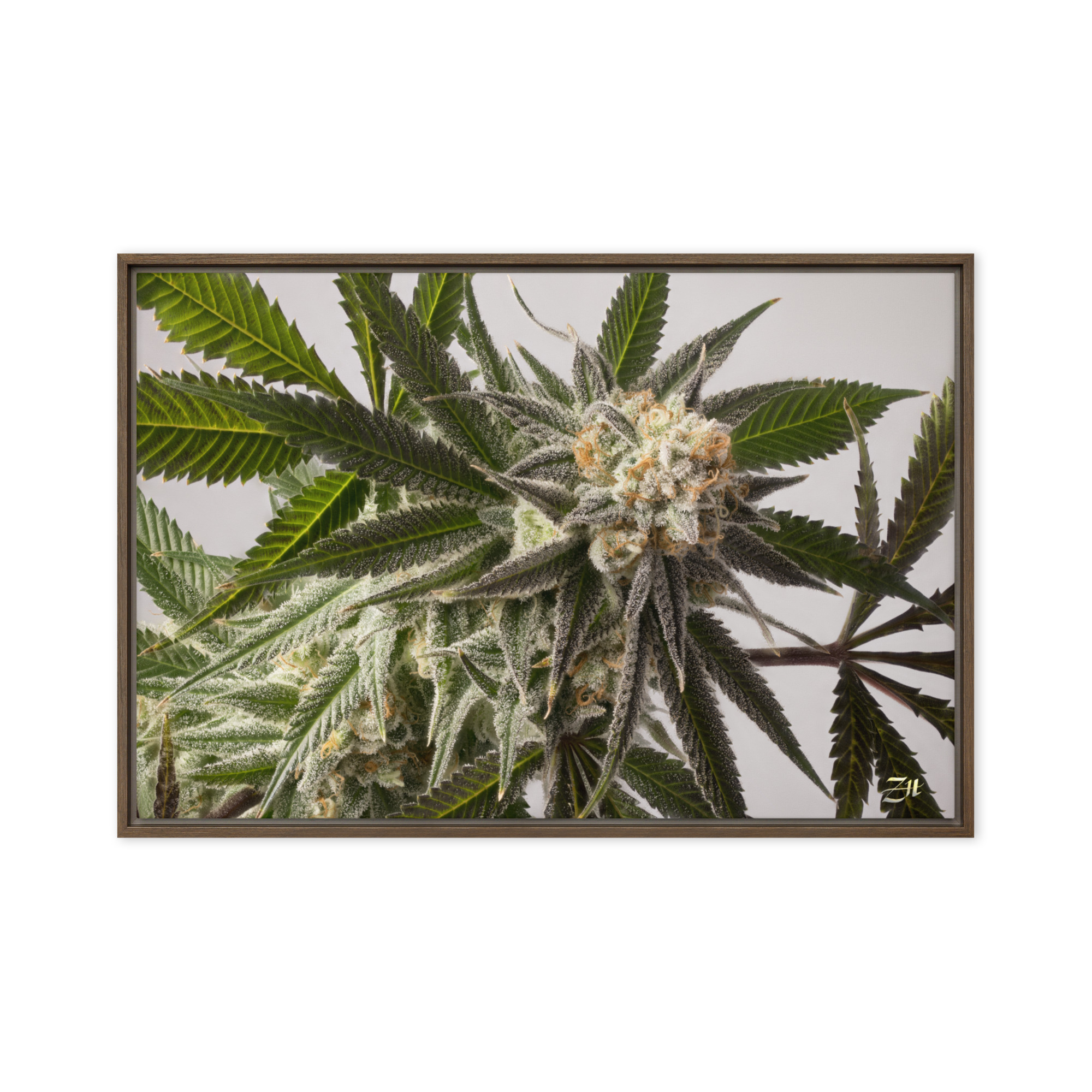 framed canvas in brown 20x30 front 6a9761a740f23.jpg framed canvas in brown 20x30 front 6a9761a740f23.jpg