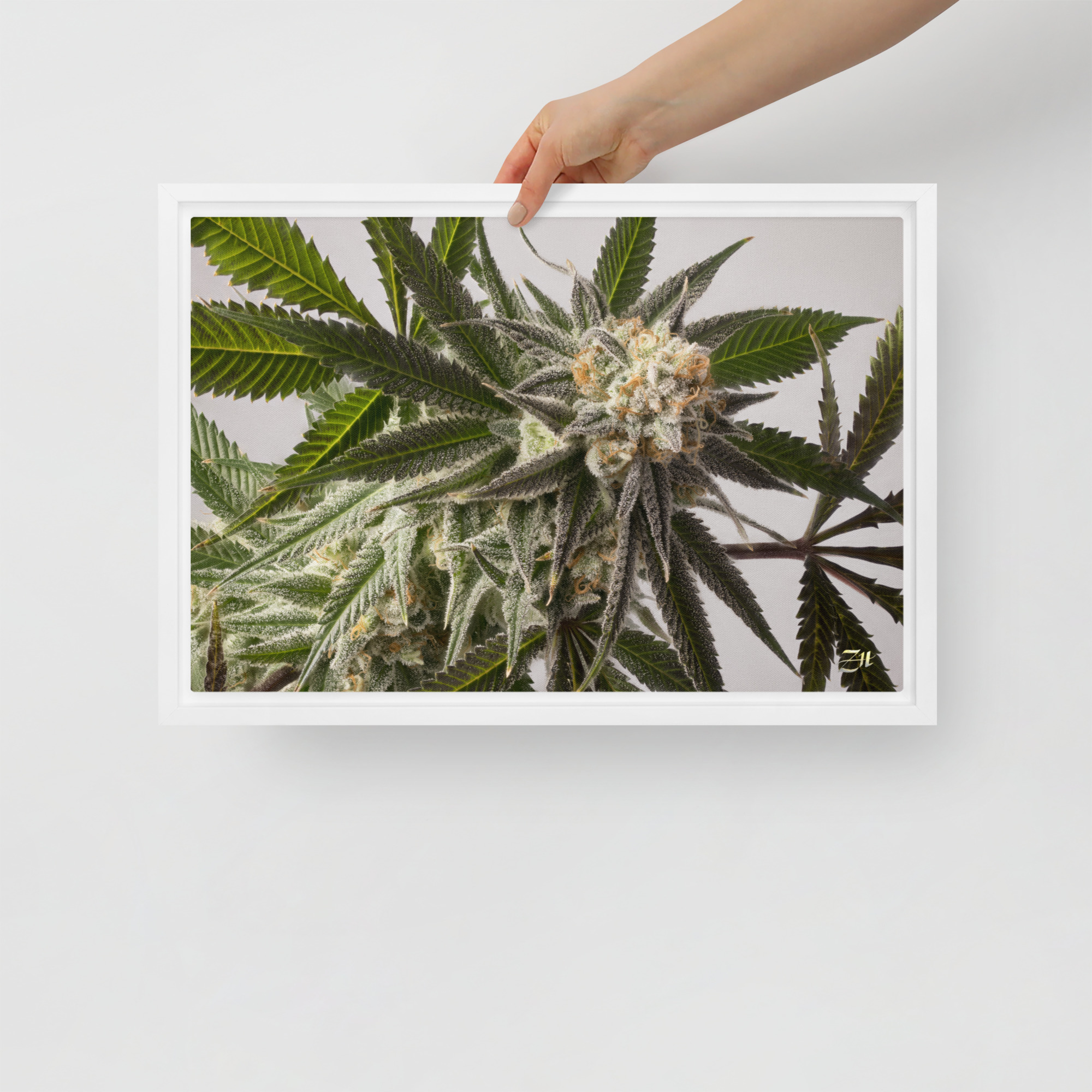 framed canvas in white 12x18 front 6a9761a740533.jpg framed canvas in white 12x18 front 6a9761a740533.jpg