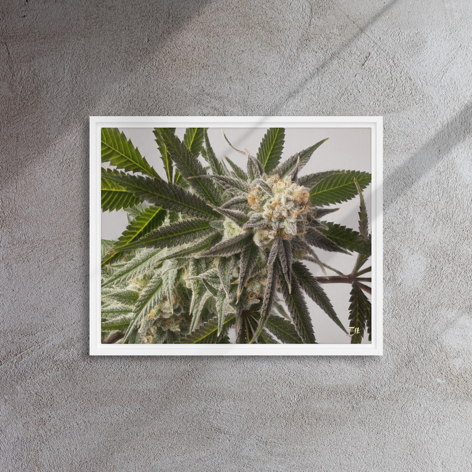 framed canvas in white 16x20 front 6a9761a73ef64.jpg framed canvas in white 16x20 front 6a9761a73ef64.jpg