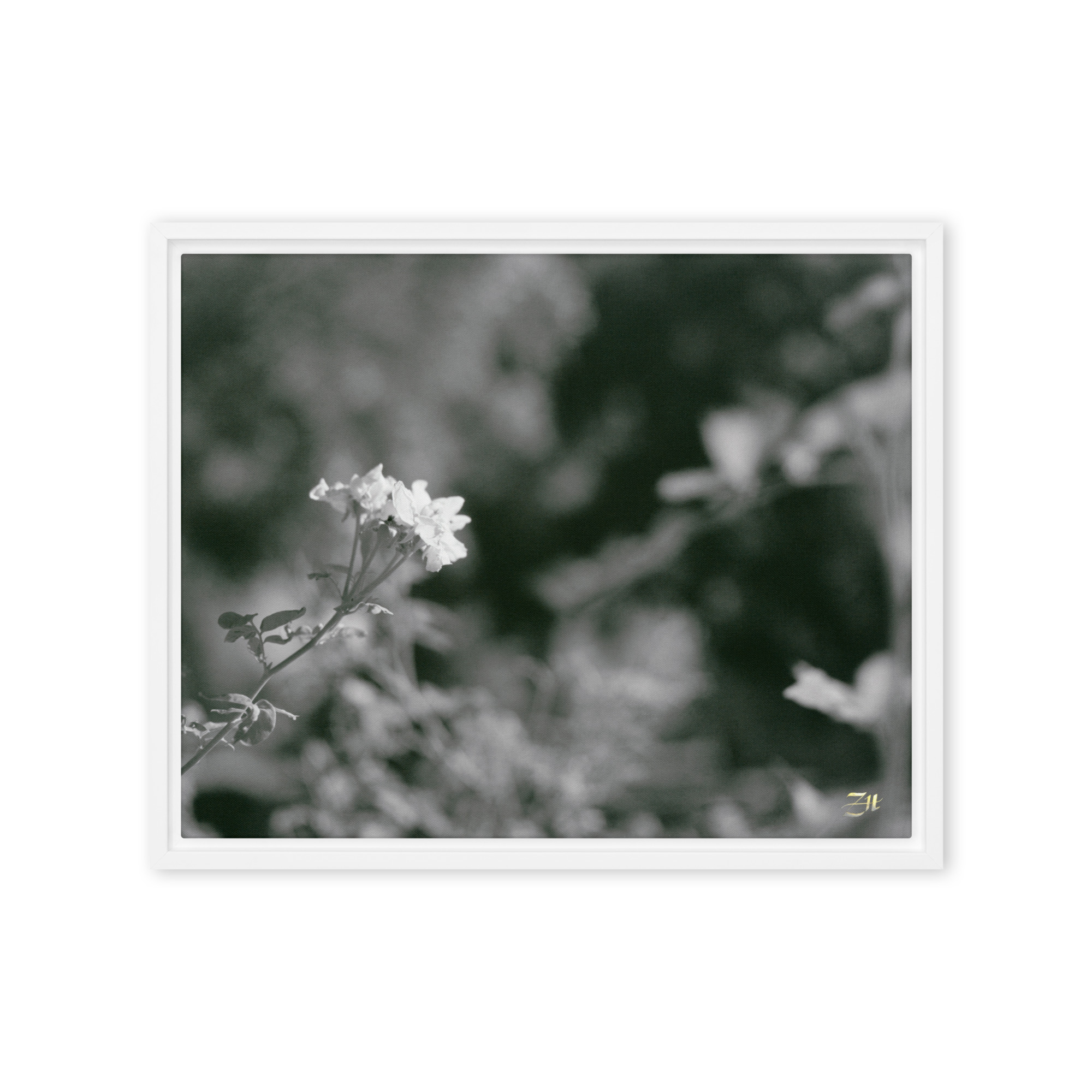 framed canvas in white 16x20 front 6a976797515eb.jpg framed canvas in white 16x20 front 6a976797515eb.jpg