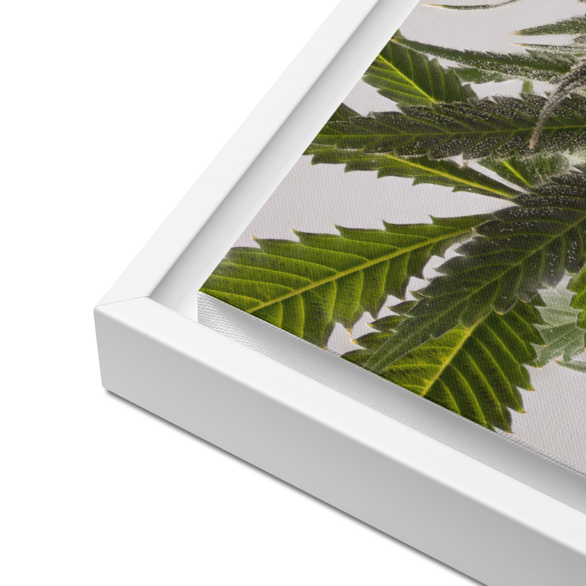 framed canvas in white 16x20 product details 6a9761a73fa23.jpg framed canvas in white 16x20 product details 6a9761a73fa23.jpg