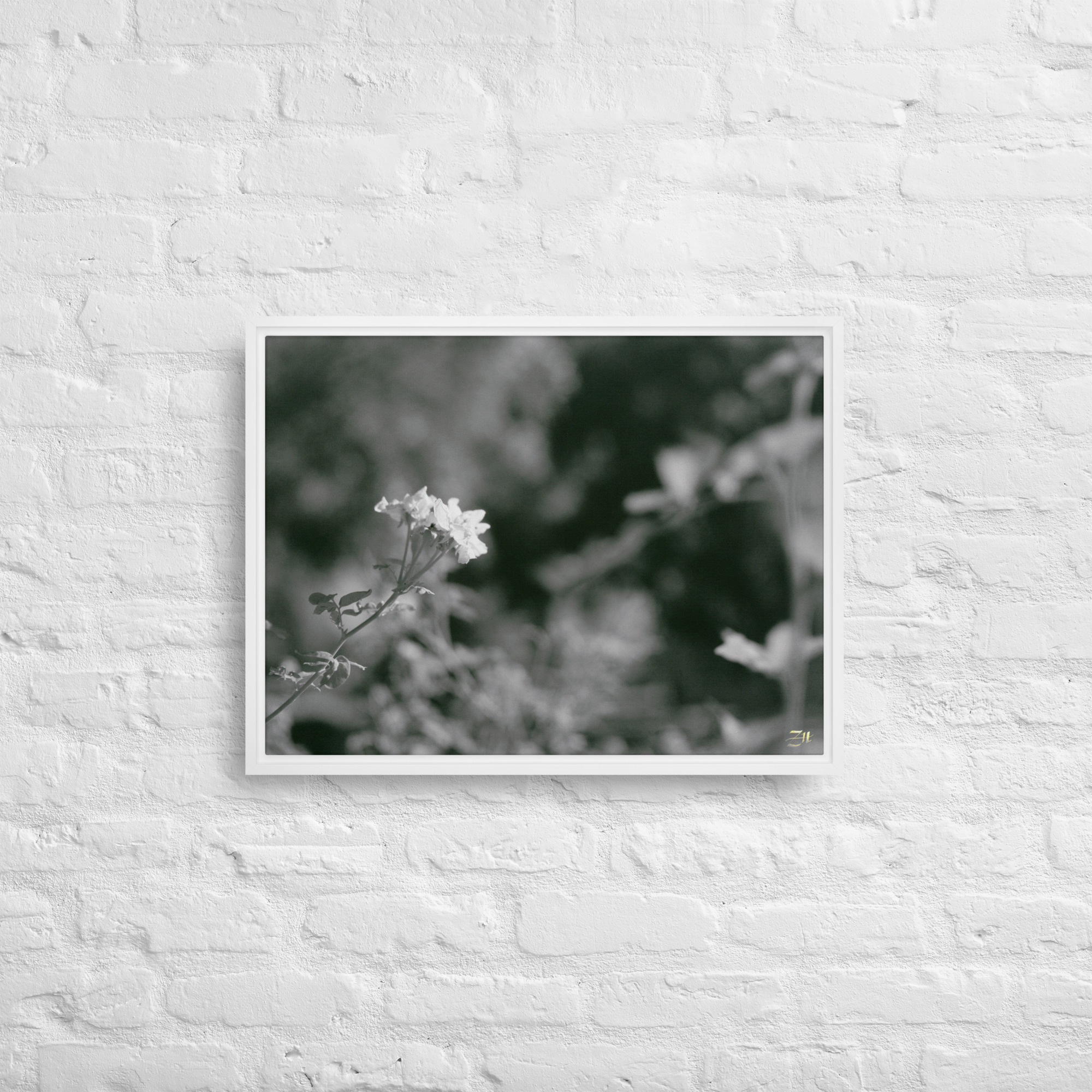 framed canvas in white 18x24 front 6a976797540e5.jpg framed canvas in white 18x24 front 6a976797540e5.jpg