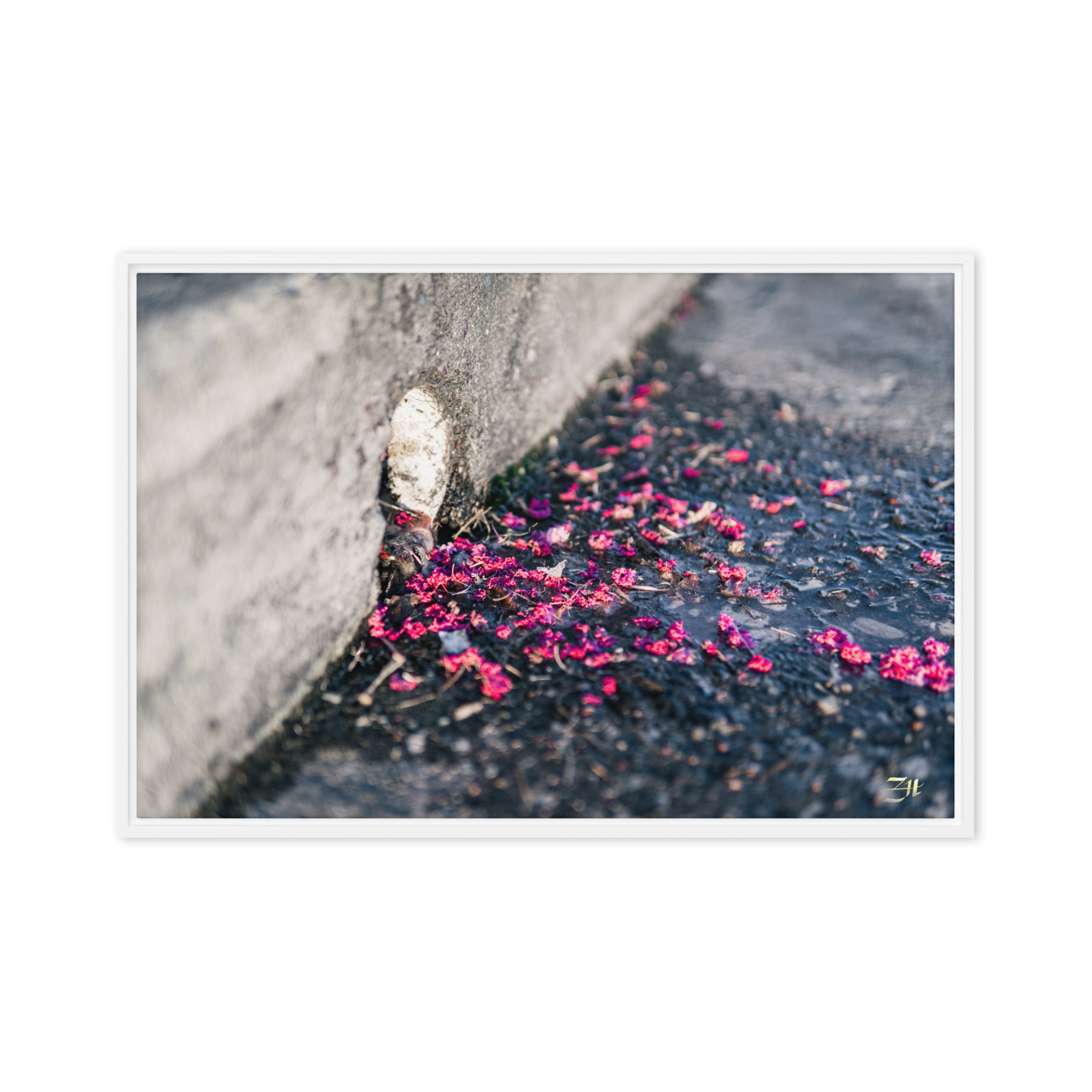 framed canvas in white 20x30 front 6a975ed92c26f.jpg framed canvas in white 20x30 front 6a975ed92c26f.jpg