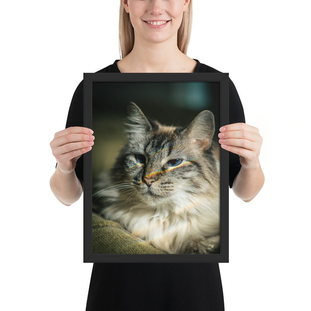 premium luster photo paper framed poster in black 12x16 person 6a97540f7b6c2.jpg premium luster photo paper framed poster in black 12x16 person 6a97540f7b6c2.jpg