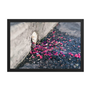 premium luster photo paper framed poster in black 12x18 front 6a974cc9e2978.jpg