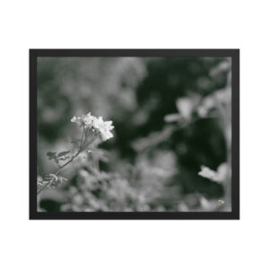 premium luster photo paper framed poster in black 16x20 front 6a975622bc34d.jpg