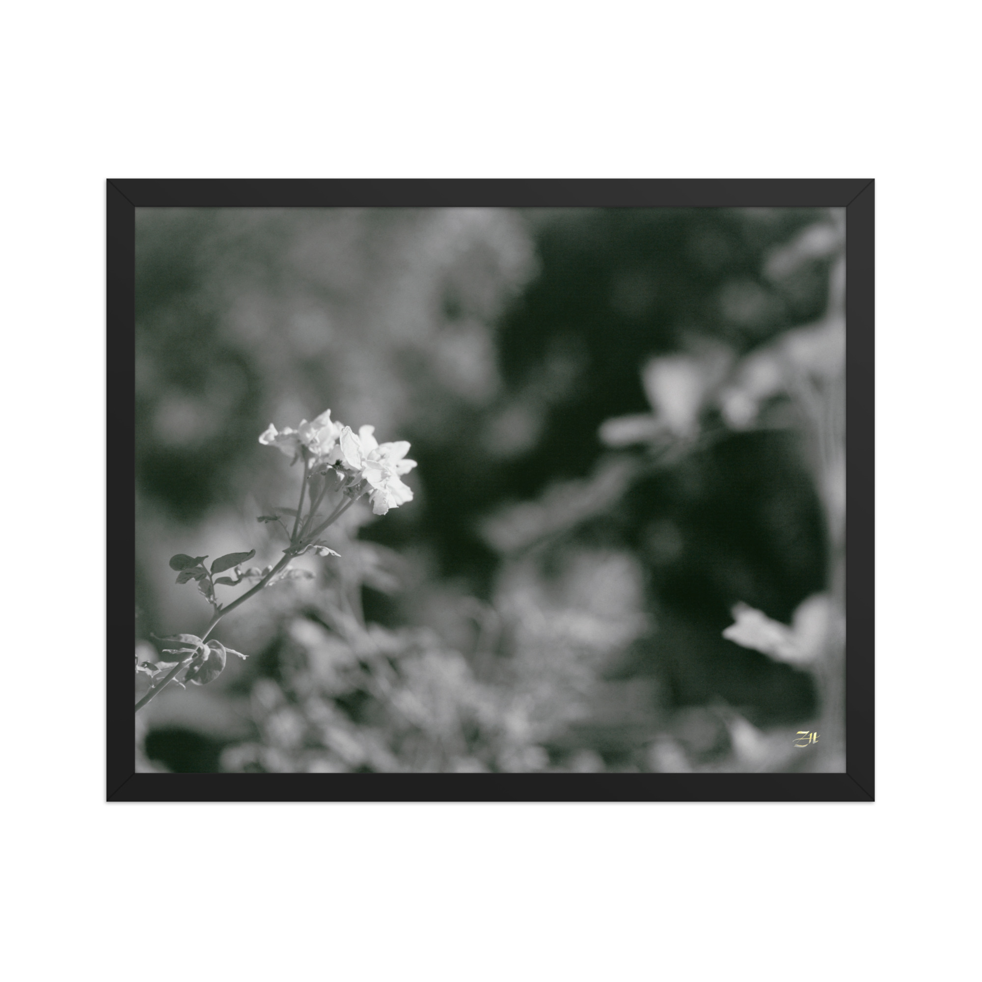 premium luster photo paper framed poster in black 16x20 front 6a975622bc34d.jpg premium luster photo paper framed poster in black 16x20 front 6a975622bc34d.jpg