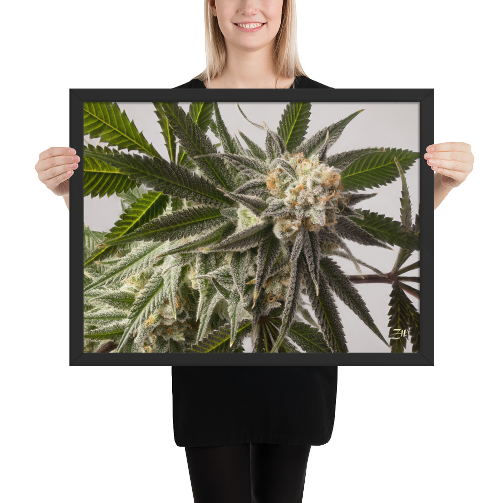 premium luster photo paper framed poster in black 18x24 person 6a974efe8529a.jpg premium luster photo paper framed poster in black 18x24 person 6a974efe8529a.jpg