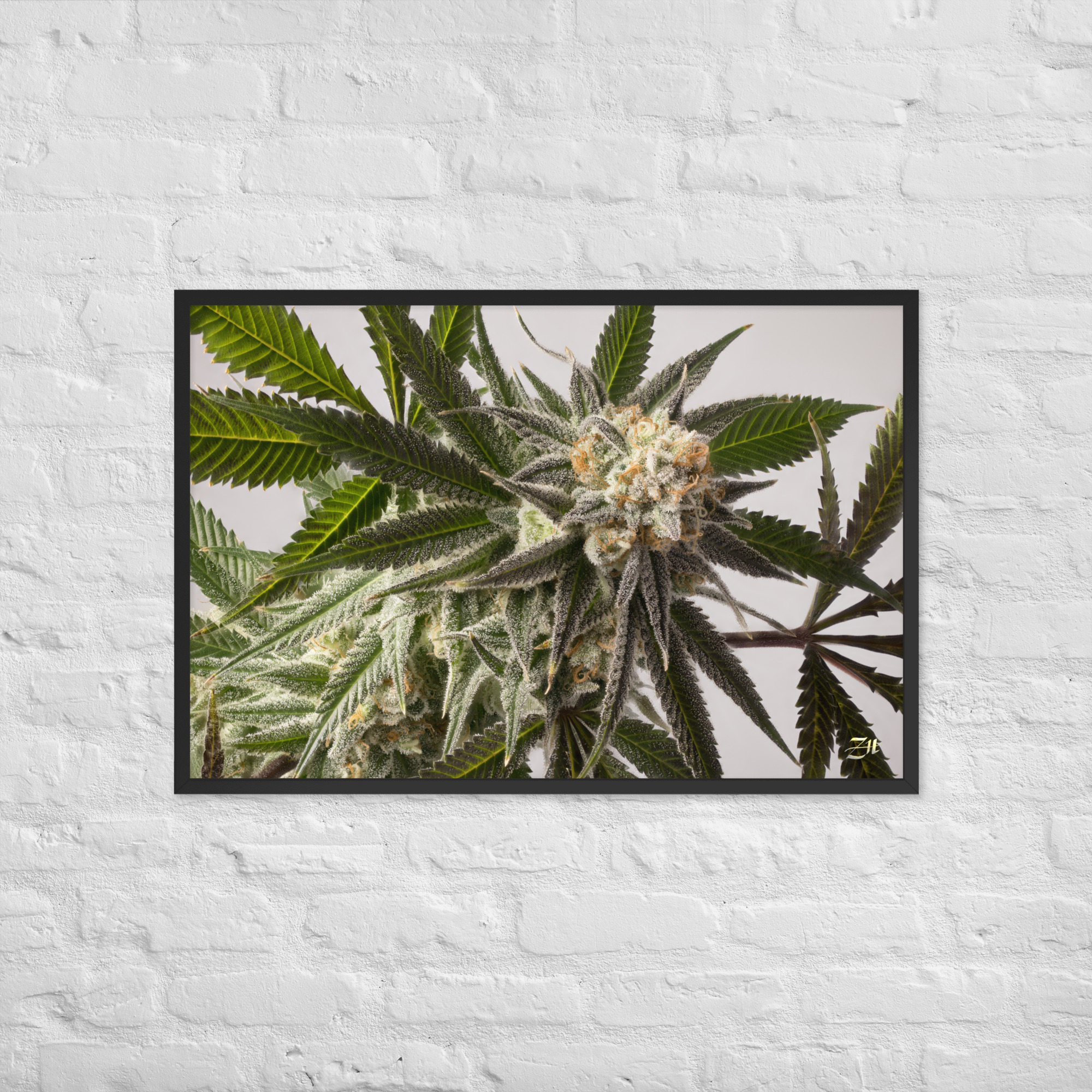 premium luster photo paper framed poster in black 24x36 front 6a974efe868dc.jpg premium luster photo paper framed poster in black 24x36 front 6a974efe868dc.jpg