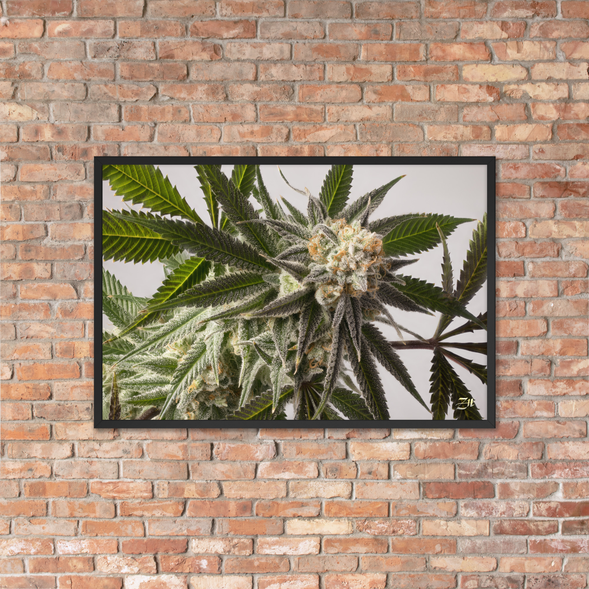 premium luster photo paper framed poster in black 24x36 lifestyle 4 6a974efe863c4.jpg premium luster photo paper framed poster in black 24x36 lifestyle 4 6a974efe863c4.jpg