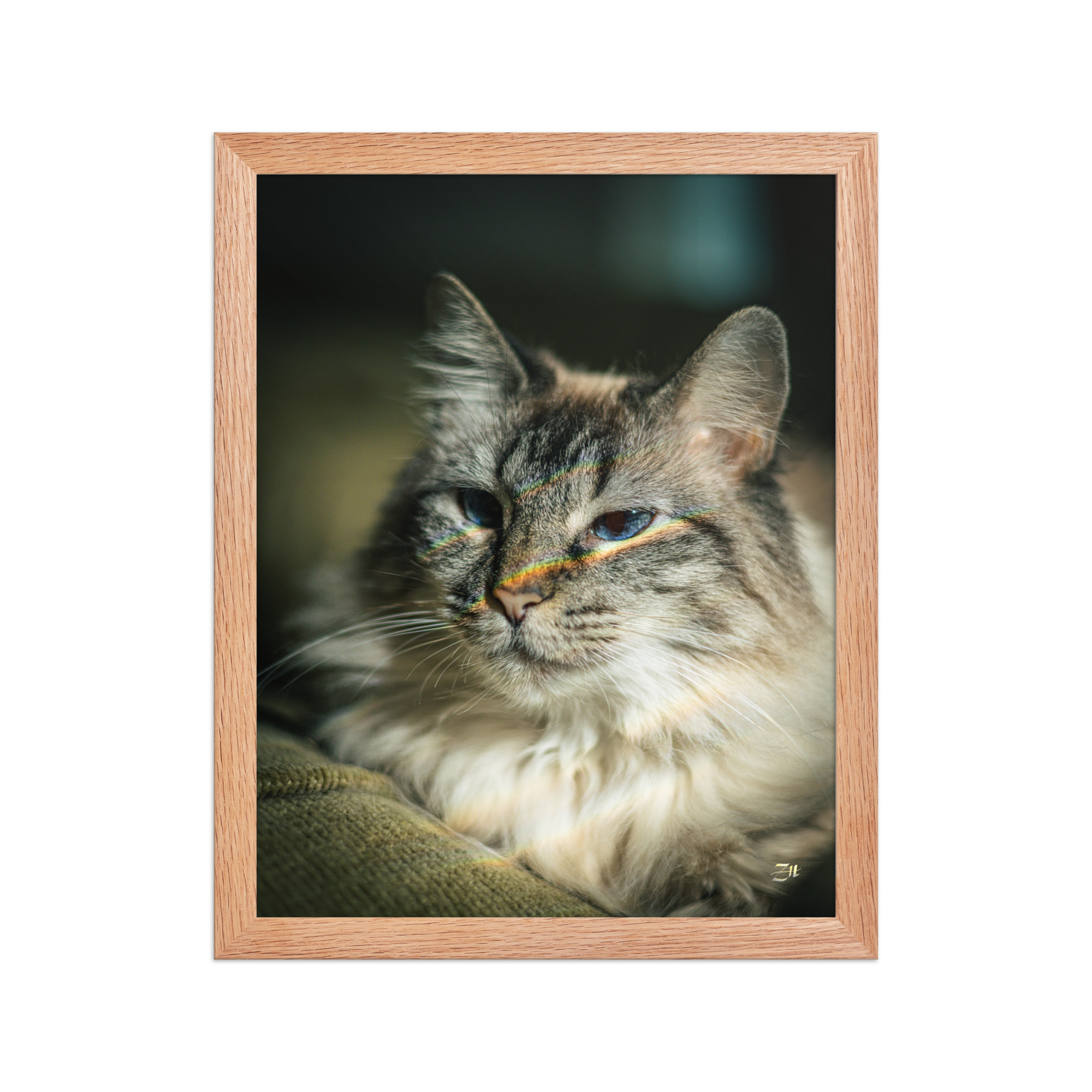 premium luster photo paper framed poster in red oak 11x14 front 6a97540f7cc39.jpg premium luster photo paper framed poster in red oak 11x14 front 6a97540f7cc39.jpg