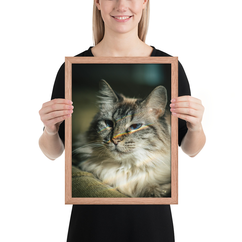 premium luster photo paper framed poster in red oak 12x16 person 6a97540f7c1be.jpg premium luster photo paper framed poster in red oak 12x16 person 6a97540f7c1be.jpg