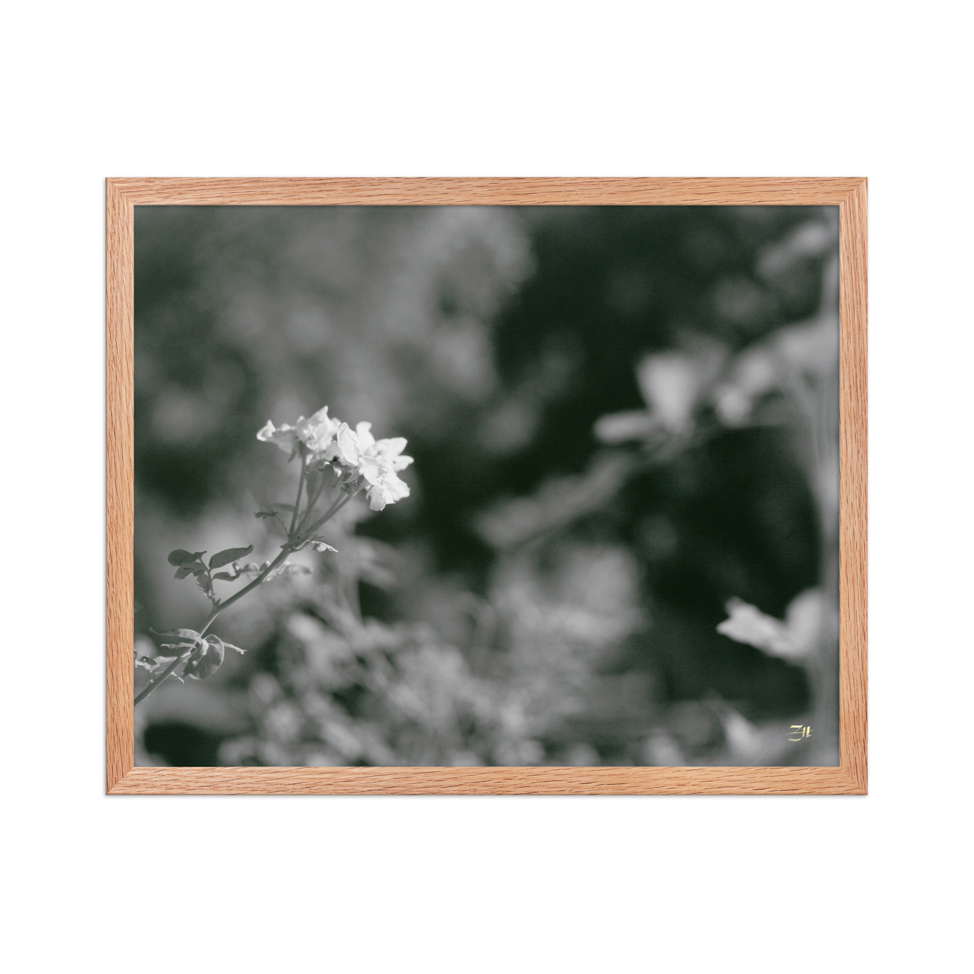 premium luster photo paper framed poster in red oak 16x20 front 6a975622bc37e.jpg premium luster photo paper framed poster in red oak 16x20 front 6a975622bc37e.jpg