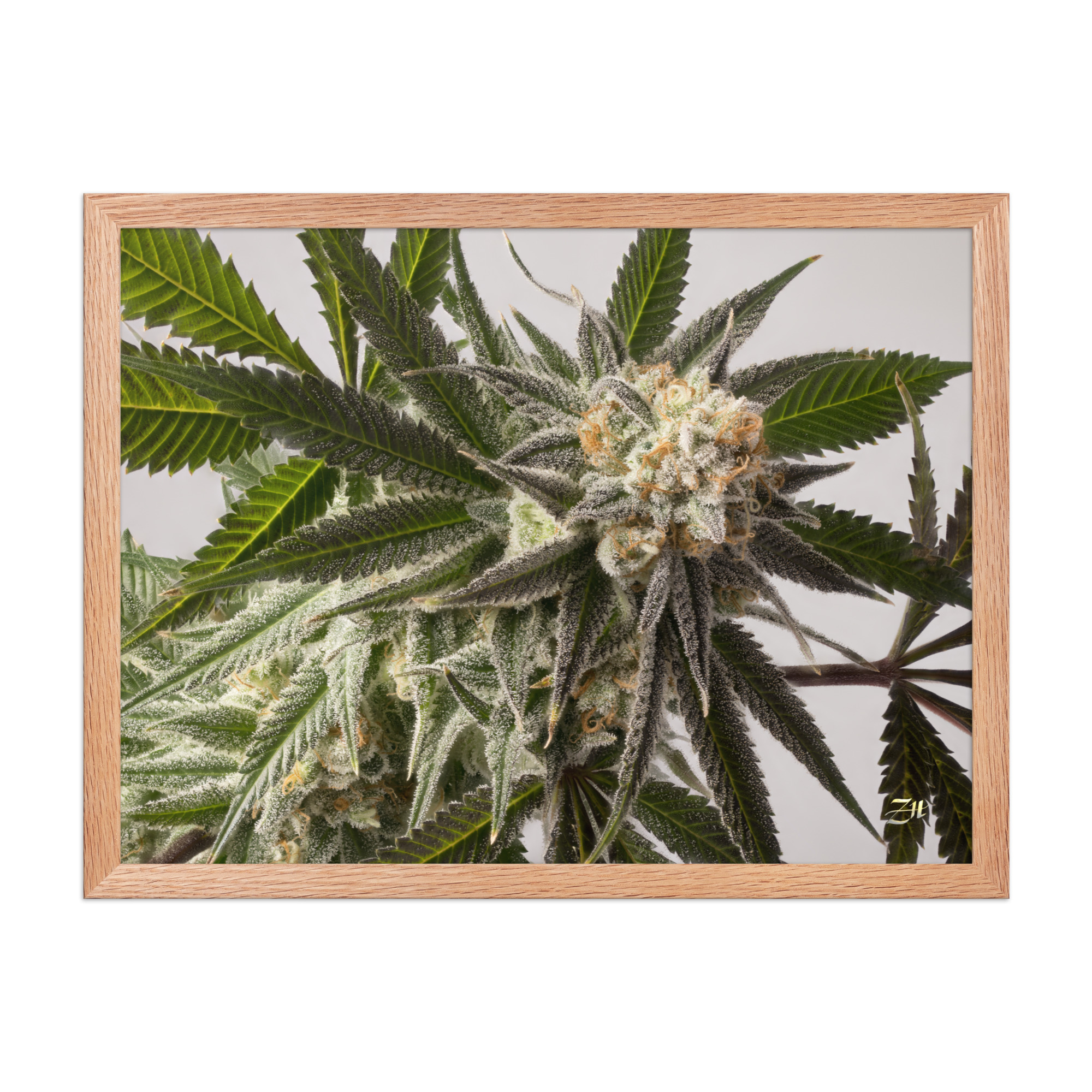 premium luster photo paper framed poster in red oak 18x24 front 6a974efe86c9f.jpg premium luster photo paper framed poster in red oak 18x24 front 6a974efe86c9f.jpg