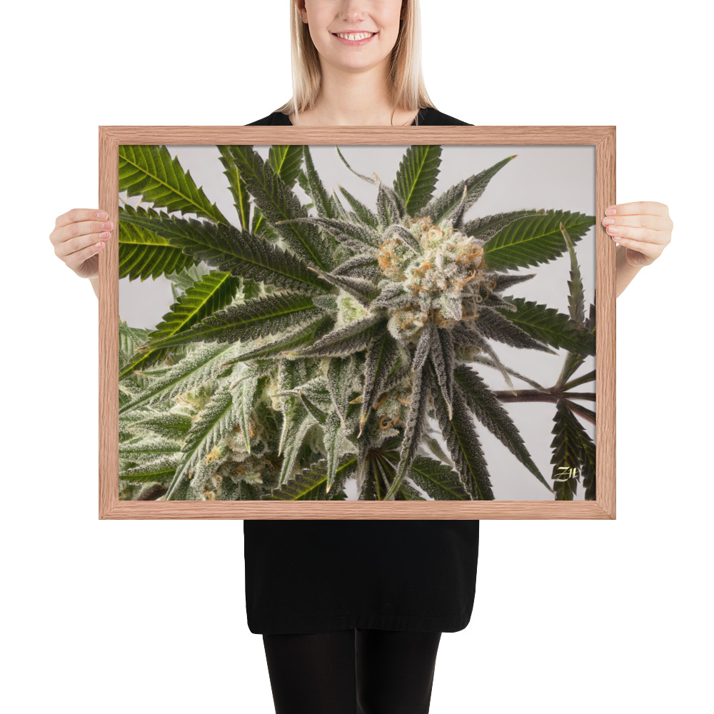 premium luster photo paper framed poster in red oak 18x24 person 6a974efe85b88.jpg premium luster photo paper framed poster in red oak 18x24 person 6a974efe85b88.jpg