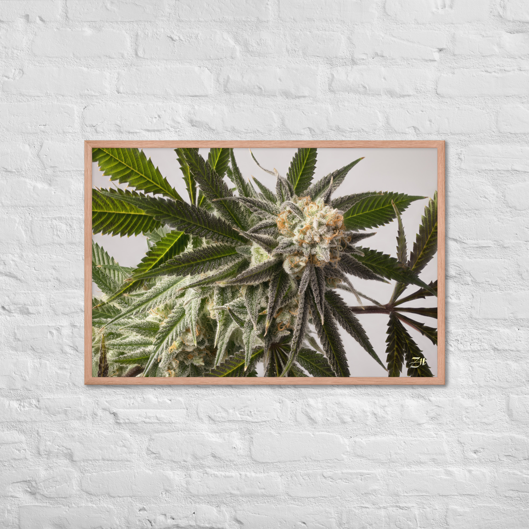premium luster photo paper framed poster in red oak 24x36 front 6a974efe86902.jpg premium luster photo paper framed poster in red oak 24x36 front 6a974efe86902.jpg