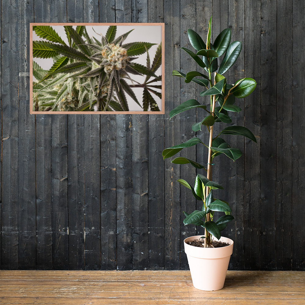 premium luster photo paper framed poster in red oak 24x36 lifestyle 2 6a974efe85f12.jpg premium luster photo paper framed poster in red oak 24x36 lifestyle 2 6a974efe85f12.jpg