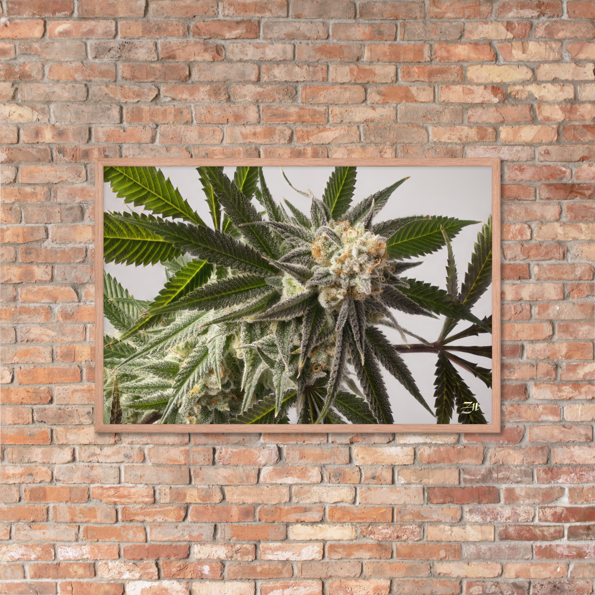 premium luster photo paper framed poster in red oak 24x36 lifestyle 4 6a974efe8640b.jpg premium luster photo paper framed poster in red oak 24x36 lifestyle 4 6a974efe8640b.jpg