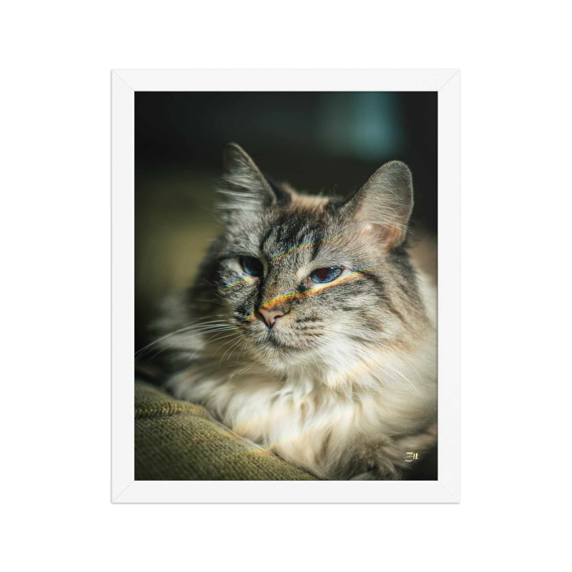 premium luster photo paper framed poster in white 11x14 front 6a97540f7cc5a.jpg premium luster photo paper framed poster in white 11x14 front 6a97540f7cc5a.jpg