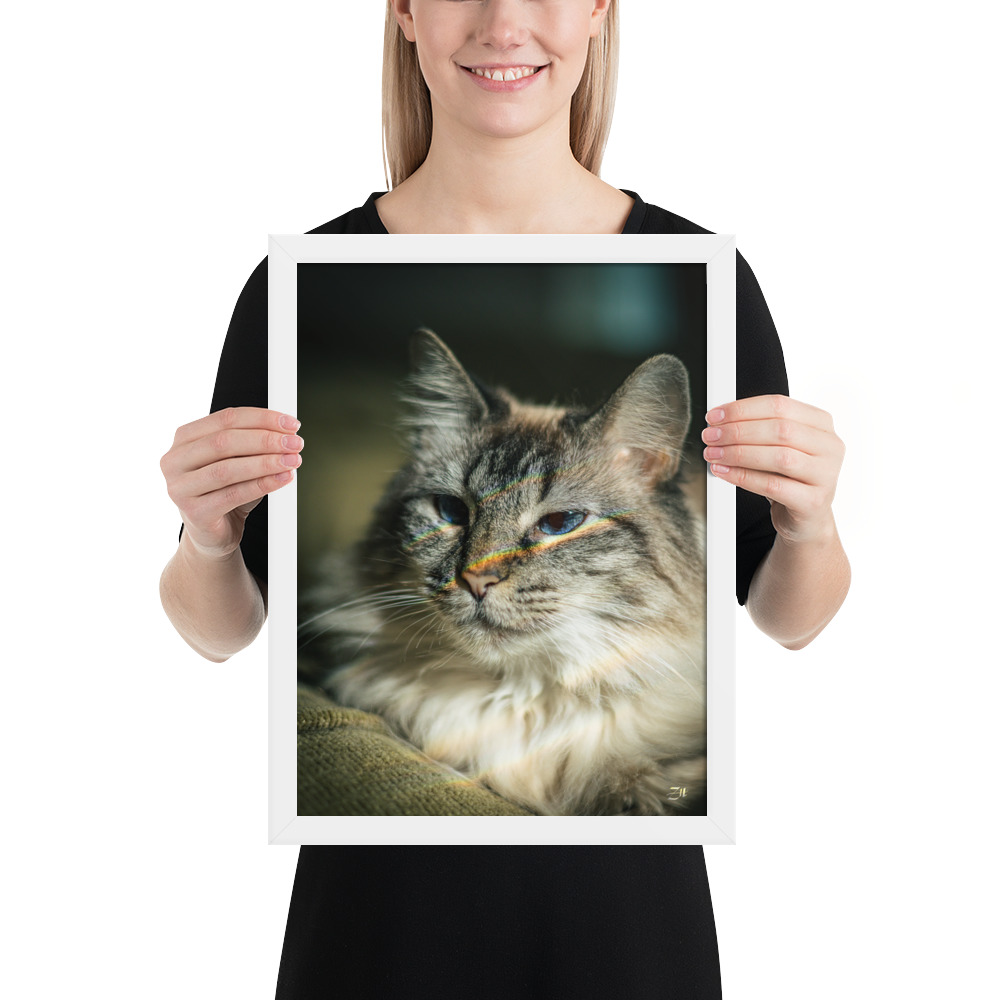 premium luster photo paper framed poster in white 12x16 person 6a97540f7c20e.jpg premium luster photo paper framed poster in white 12x16 person 6a97540f7c20e.jpg