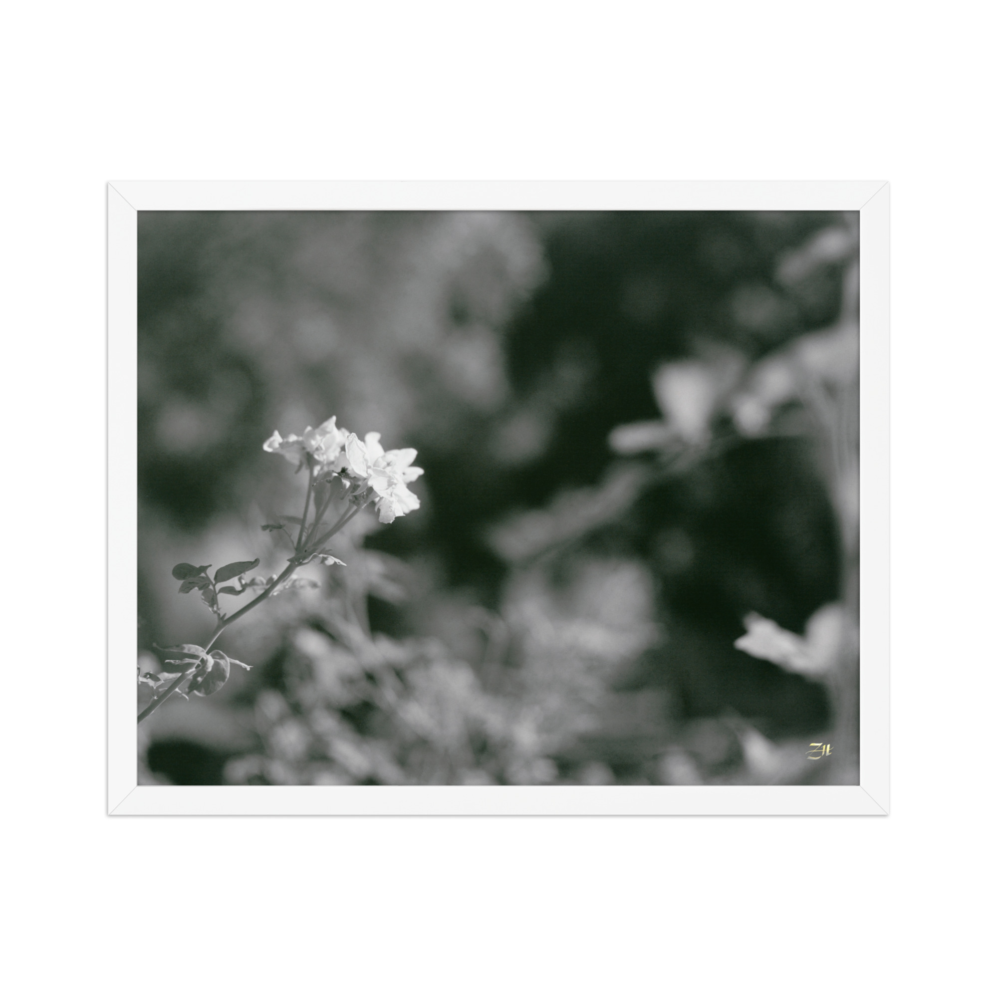 premium luster photo paper framed poster in white 16x20 front 6a975622bc39f.jpg premium luster photo paper framed poster in white 16x20 front 6a975622bc39f.jpg