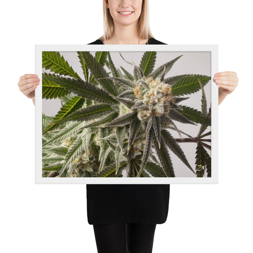 premium luster photo paper framed poster in white 18x24 person 6a974efe85bbc.jpg premium luster photo paper framed poster in white 18x24 person 6a974efe85bbc.jpg