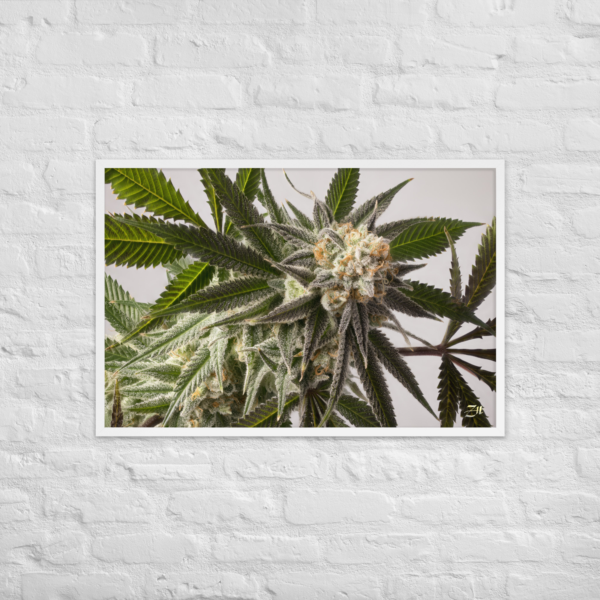 premium luster photo paper framed poster in white 24x36 front 6a974efe8691f.jpg premium luster photo paper framed poster in white 24x36 front 6a974efe8691f.jpg