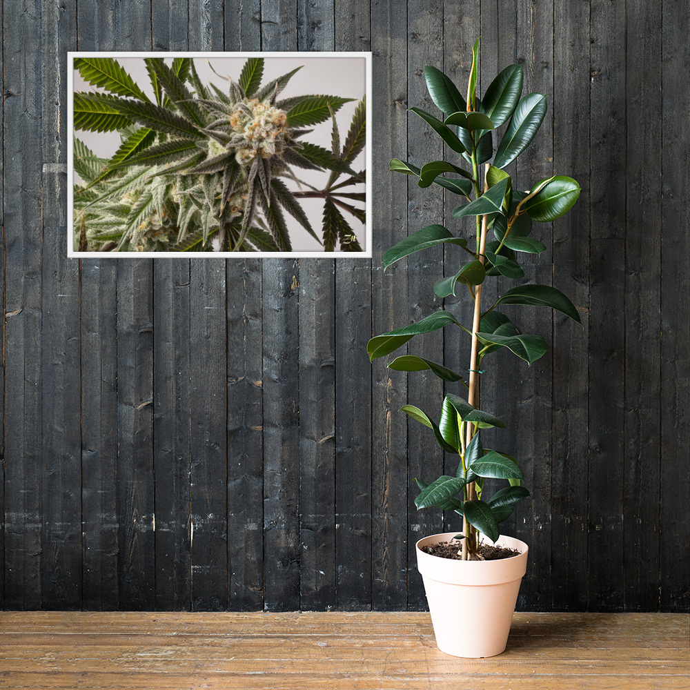 premium luster photo paper framed poster in white 24x36 lifestyle 2 6a974efe85f3d.jpg premium luster photo paper framed poster in white 24x36 lifestyle 2 6a974efe85f3d.jpg