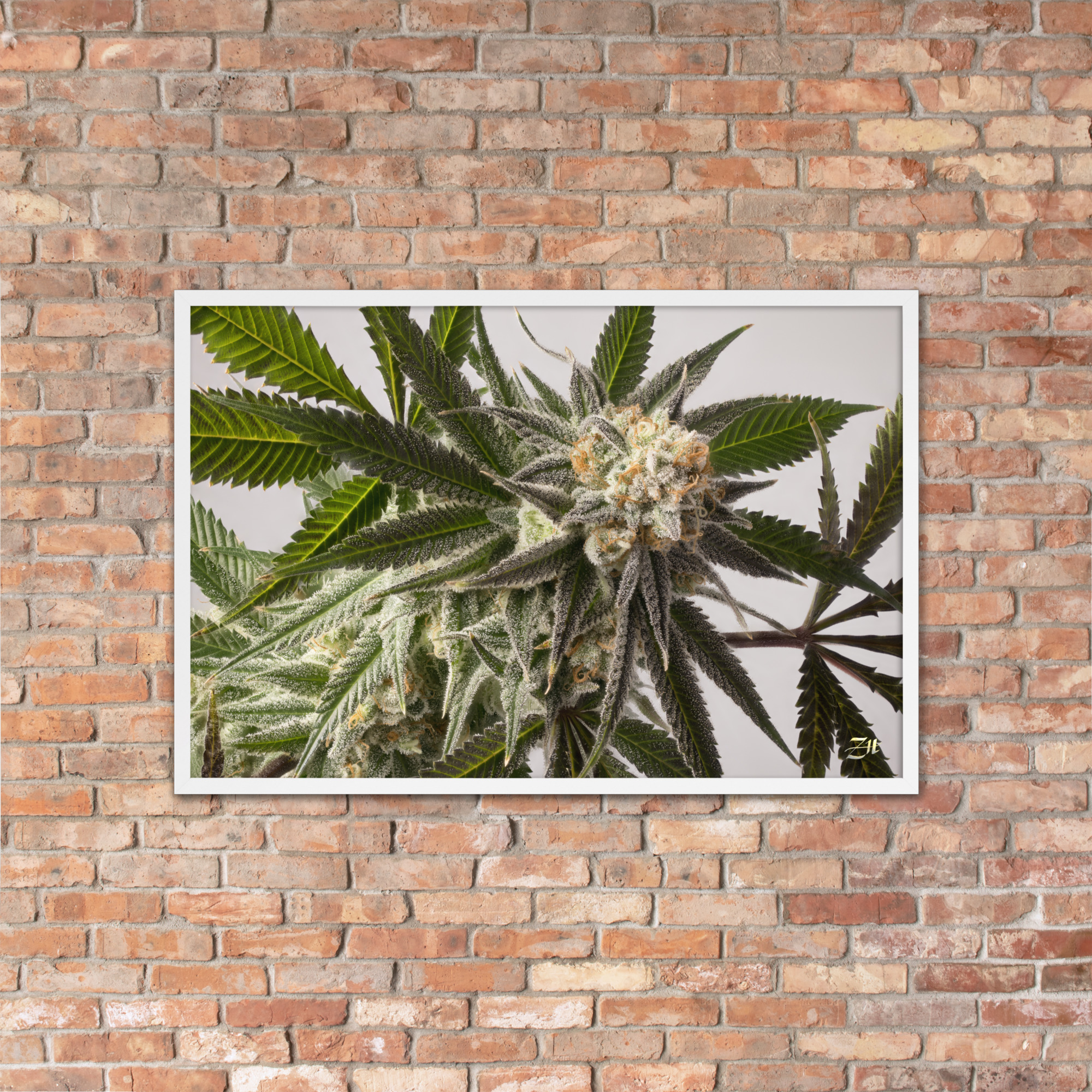 premium luster photo paper framed poster in white 24x36 lifestyle 4 6a974efe8642a.jpg premium luster photo paper framed poster in white 24x36 lifestyle 4 6a974efe8642a.jpg